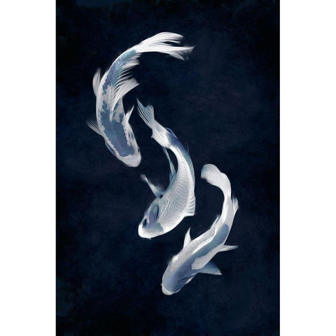 Koi I White Modern Wood Framed Art Print by Blake, Madeline