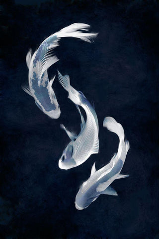 Koi I White Modern Wood Framed Art Print with Double Matting by Blake, Madeline