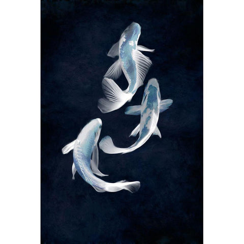 Koi II White Modern Wood Framed Art Print by Blake, Madeline