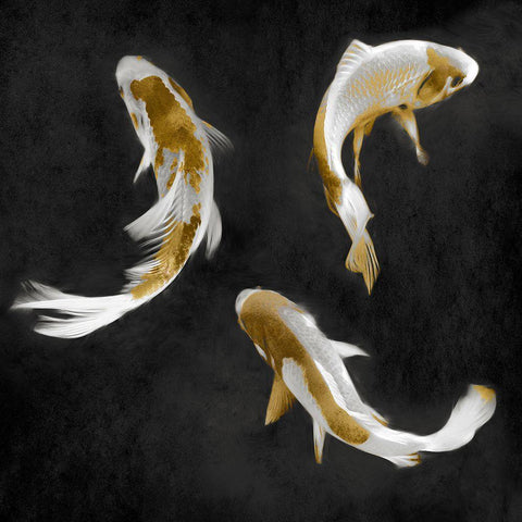 Koi Gold on Black I Black Ornate Wood Framed Art Print with Double Matting by Blake, Madeline