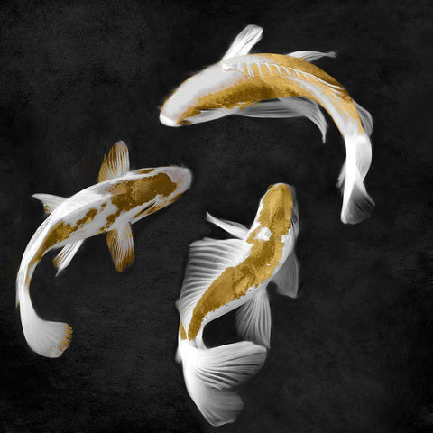 Koi Gold on Black II White Modern Wood Framed Art Print with Double Matting by Blake, Madeline