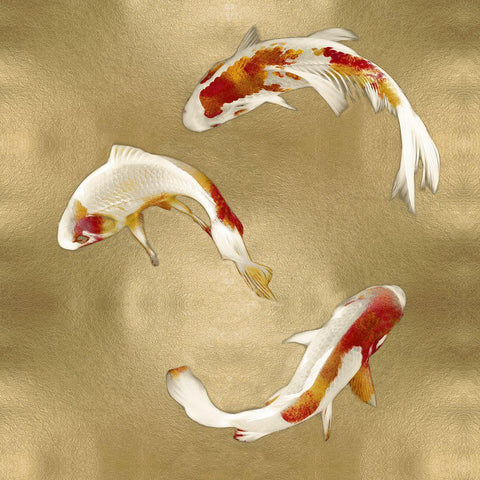 Koi on Gold I White Modern Wood Framed Art Print by Blake, Madeline