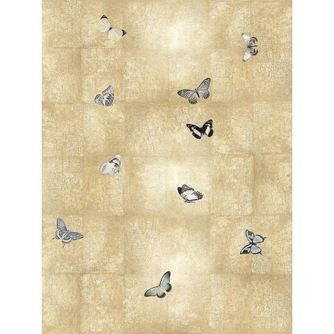 Butterflies in Flight II Black Modern Wood Framed Art Print with Double Matting by Blake, Madeline