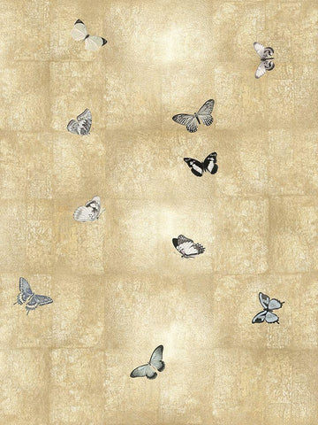 Butterflies in Flight II White Modern Wood Framed Art Print with Double Matting by Blake, Madeline