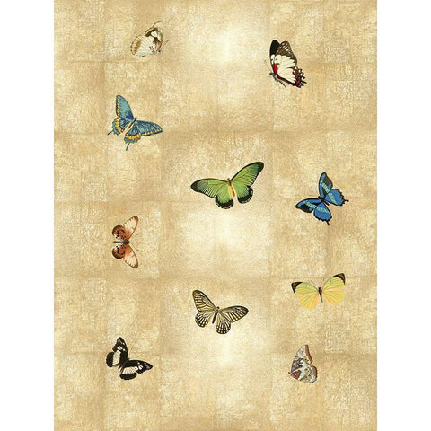 Butterflies on Gold I Black Modern Wood Framed Art Print with Double Matting by Blake, Madeline