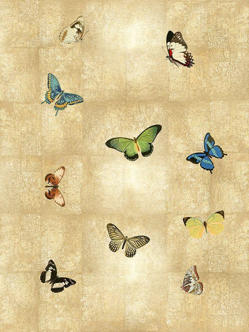 Butterflies on Gold I White Modern Wood Framed Art Print with Double Matting by Blake, Madeline