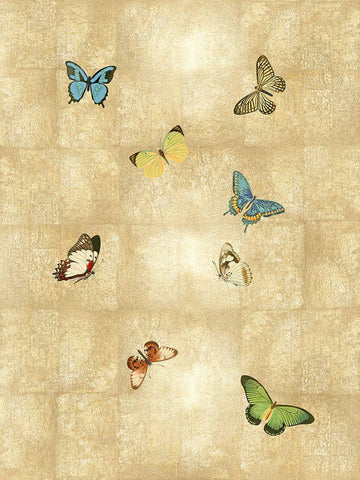 Butterflies on Gold II White Modern Wood Framed Art Print with Double Matting by Blake, Madeline