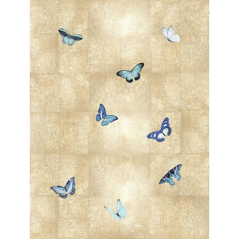 Butterflies Blue on Gold I Black Modern Wood Framed Art Print with Double Matting by Blake, Madeline