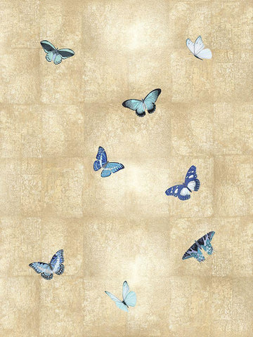 Butterflies Blue on Gold I White Modern Wood Framed Art Print with Double Matting by Blake, Madeline