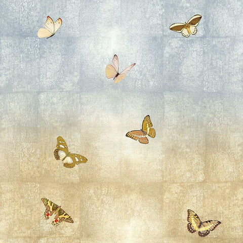 Butterflies I Black Modern Wood Framed Art Print with Double Matting by Blake, Madeline