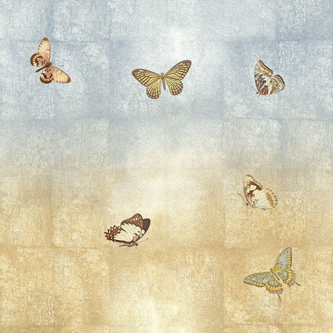 Butterflies II White Modern Wood Framed Art Print by Blake, Madeline