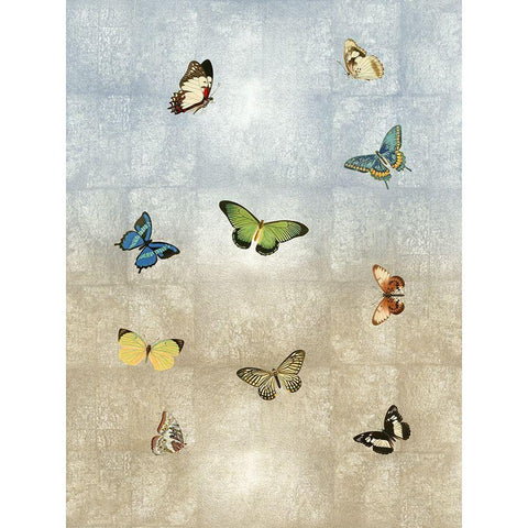 Butterflies Meet Up I Black Modern Wood Framed Art Print with Double Matting by Blake, Madeline