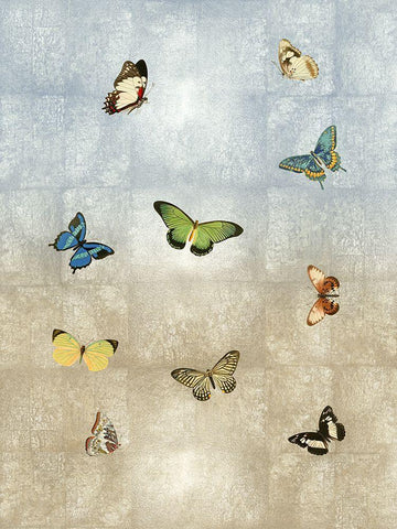 Butterflies Meet Up I White Modern Wood Framed Art Print with Double Matting by Blake, Madeline