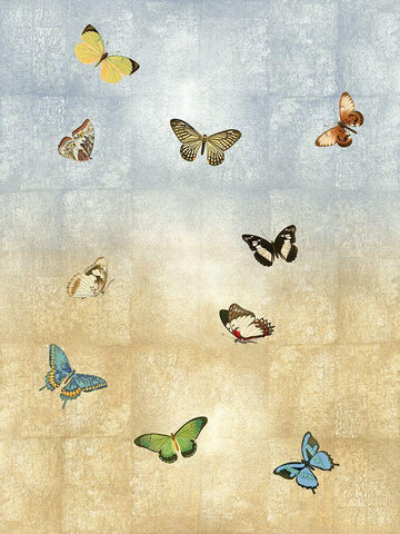 Butterflies Meet Up II White Modern Wood Framed Art Print with Double Matting by Blake, Madeline