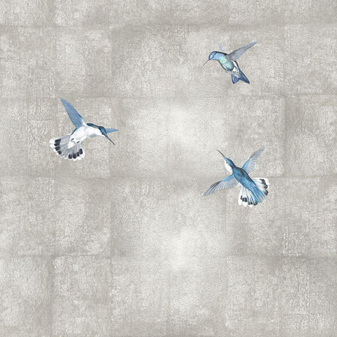 Hummingbirds Blue on Silver I Black Modern Wood Framed Art Print with Double Matting by Blake, Madeline