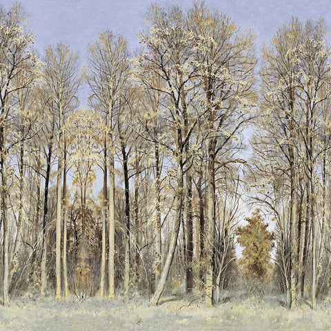 Entrance to the Woods Black Ornate Wood Framed Art Print with Double Matting by McKee, Christy