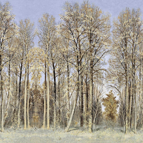 Entrance to the Woods Black Modern Wood Framed Art Print with Double Matting by McKee, Christy