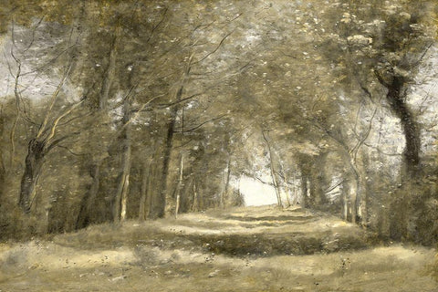 Shaded Path II Black Ornate Wood Framed Art Print with Double Matting by McKee, Christy