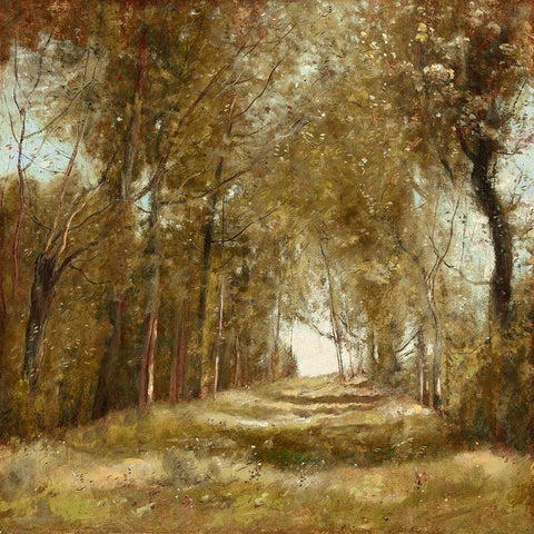 Shaded Path I Black Ornate Wood Framed Art Print with Double Matting by McKee, Christy