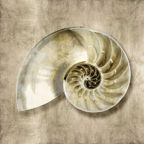 Golden Sea Life IV White Modern Wood Framed Art Print by Kelly, Caroline