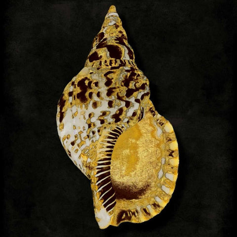 Golden Ocean Gems III Black Ornate Wood Framed Art Print with Double Matting by Kelly, Caroline