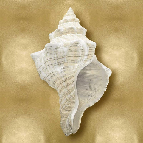 Ocean Gem on Gold I White Modern Wood Framed Art Print with Double Matting by Kelly, Caroline