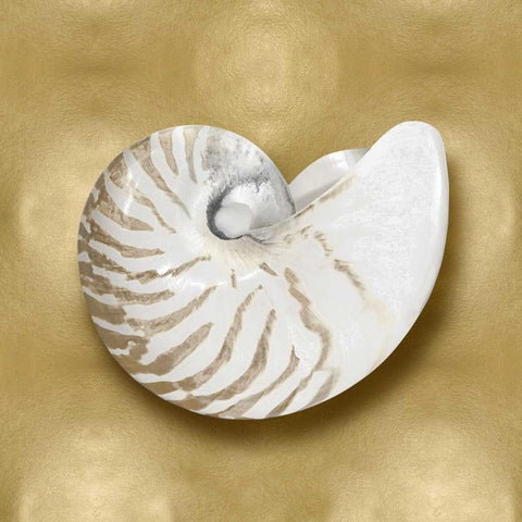 Ocean Gem on Gold III White Modern Wood Framed Art Print by Kelly, Caroline