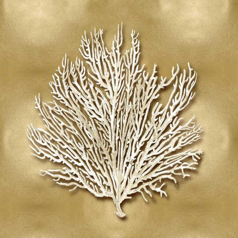 Sea Fan on Gold I Black Ornate Wood Framed Art Print with Double Matting by Kelly, Caroline