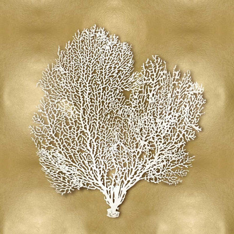 Sea Fan on Gold II White Modern Wood Framed Art Print by Kelly, Caroline