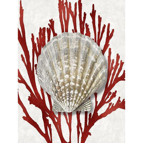 Shell Coral Red IV White Modern Wood Framed Art Print by Kelly, Caroline