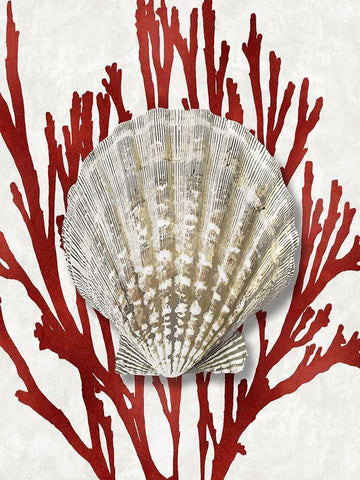 Shell Coral Red IV Black Ornate Wood Framed Art Print with Double Matting by Kelly, Caroline