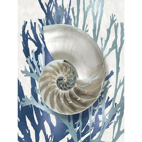 Shell Coral Aqua Blue II White Modern Wood Framed Art Print by Kelly, Caroline