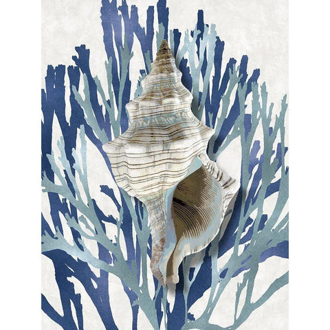 Shell Coral Aqua Blue III White Modern Wood Framed Art Print by Kelly, Caroline