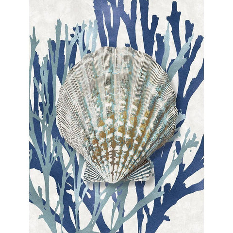 Shell Coral Aqua Blue IV White Modern Wood Framed Art Print by Kelly, Caroline