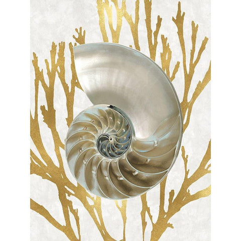 Shell Coral Gold II Black Modern Wood Framed Art Print with Double Matting by Kelly, Caroline