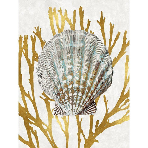 Shell Coral Gold IV Black Modern Wood Framed Art Print with Double Matting by Kelly, Caroline