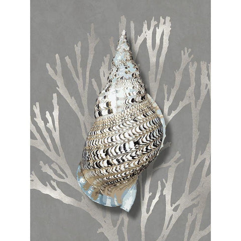 Shell Coral Silver on Gray I Black Modern Wood Framed Art Print with Double Matting by Kelly, Caroline