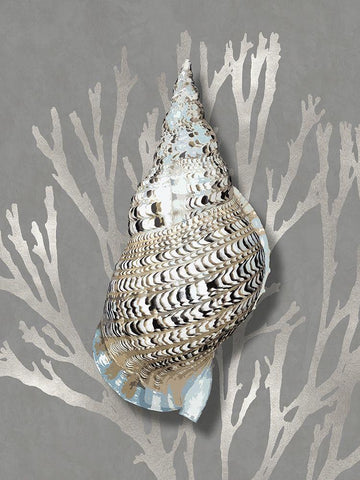 Shell Coral Silver on Gray I White Modern Wood Framed Art Print with Double Matting by Kelly, Caroline