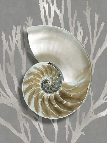 Shell Coral Silver on Gray II Black Ornate Wood Framed Art Print with Double Matting by Kelly, Caroline