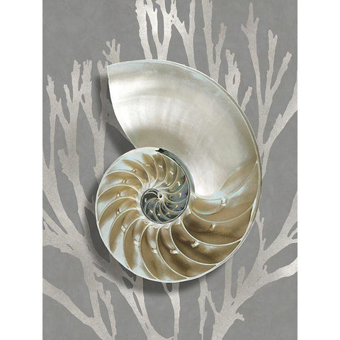 Shell Coral Silver on Gray II Black Modern Wood Framed Art Print with Double Matting by Kelly, Caroline