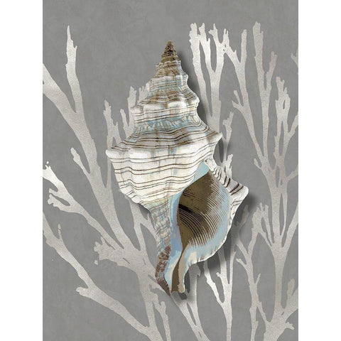 Shell Coral Silver on Gray III White Modern Wood Framed Art Print by Kelly, Caroline