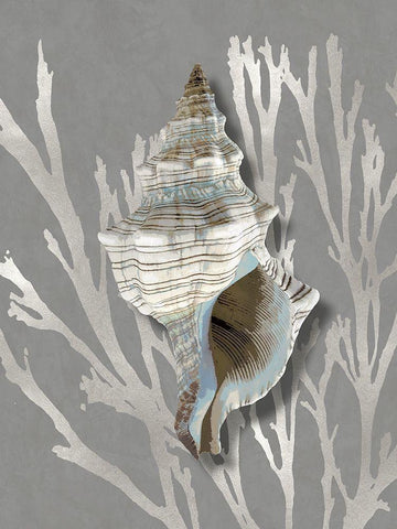 Shell Coral Silver on Gray III Black Ornate Wood Framed Art Print with Double Matting by Kelly, Caroline