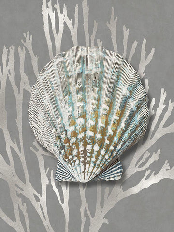 Shell Coral Silver on Gray IV White Modern Wood Framed Art Print with Double Matting by Kelly, Caroline