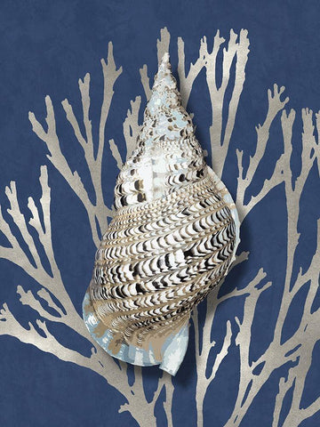 Shell Coral Silver on Blue I Black Ornate Wood Framed Art Print with Double Matting by Kelly, Caroline