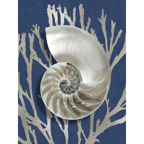 Shell Coral Silver on Blue II Black Modern Wood Framed Art Print with Double Matting by Kelly, Caroline