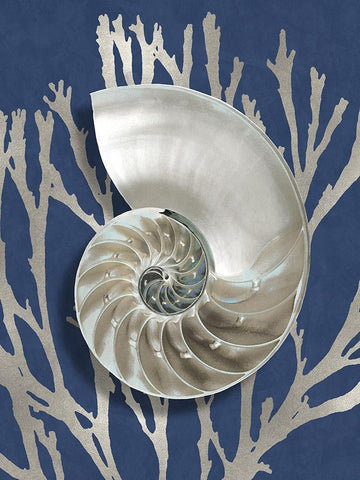 Shell Coral Silver on Blue II Black Ornate Wood Framed Art Print with Double Matting by Kelly, Caroline