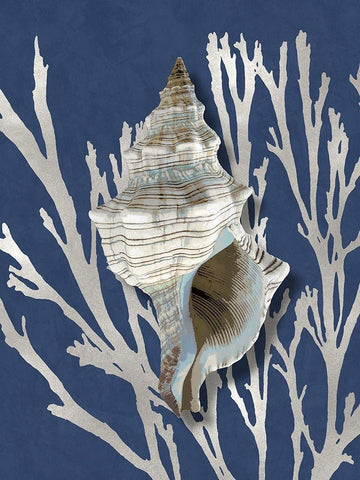 Shell Coral Silver on Blue III Black Ornate Wood Framed Art Print with Double Matting by Kelly, Caroline