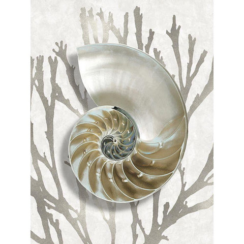 Shell Coral Silver II White Modern Wood Framed Art Print by Kelly, Caroline