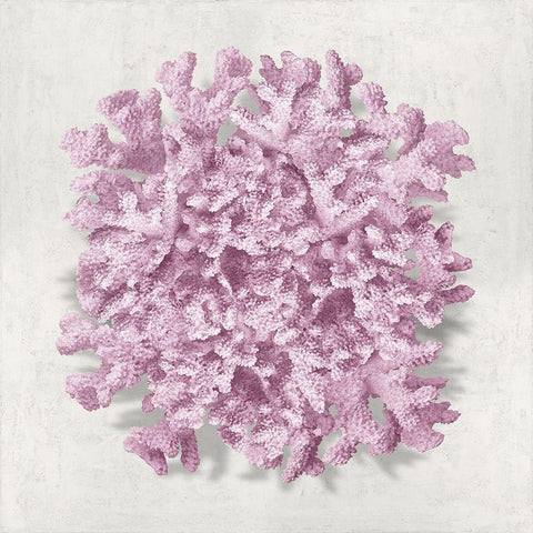 Coral Blush II Gold Ornate Wood Framed Art Print with Double Matting by Kelly, Caroline