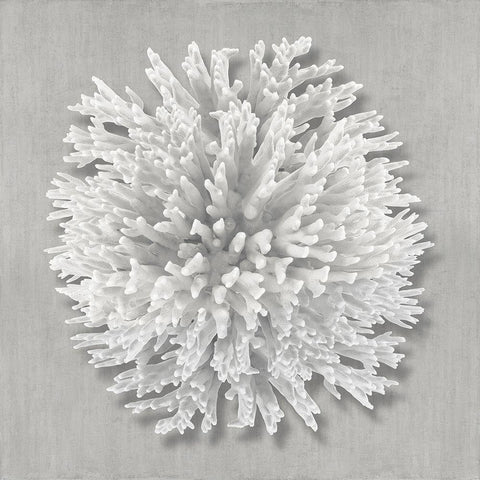 Coral on Gray I White Modern Wood Framed Art Print by Kelly, Caroline